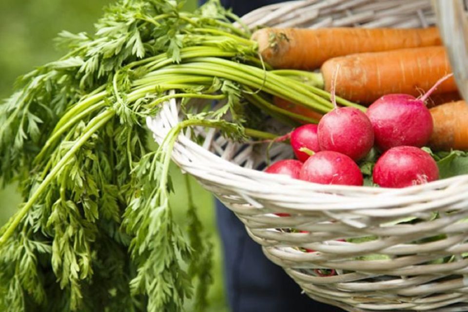 Rome: Cooking Lesson, Enjoy an Italian Meal in Small Group - Hands-on Cooking Class