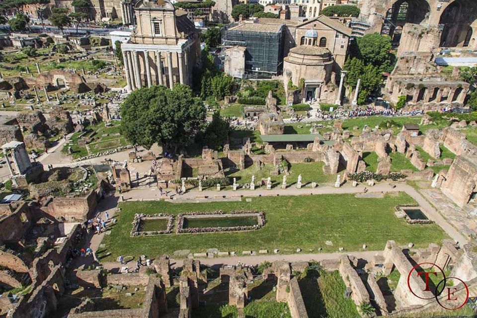 Rome: Private Colosseum, Roman Forum, and Palatine Hill Tour - Highlights of the Colosseum Tour