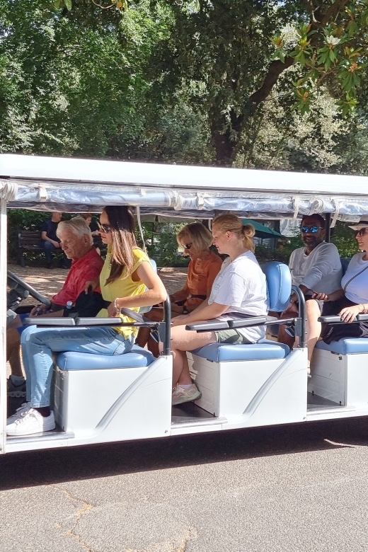 Rome: Private Golf Cart Tour - Inclusions