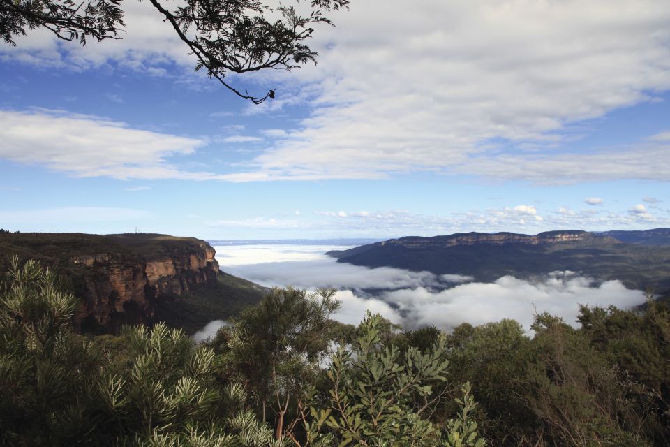 Roos, Blues & Views - Experience Description