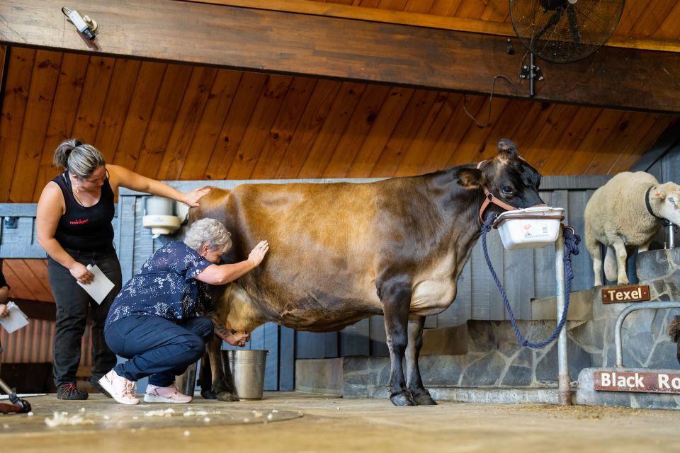 Rotorua: Agrodome Farm Tour With Show and Produce Tasting - Farm Show Experience