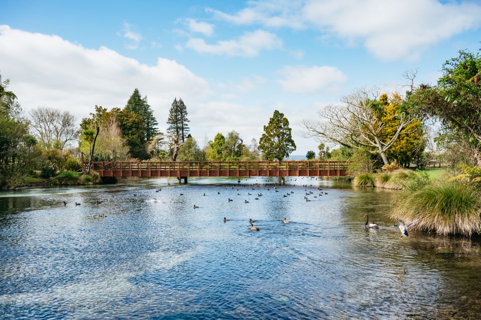 Rotorua: Explore The Lakes Half-Day Morning Tour - Duration and Language