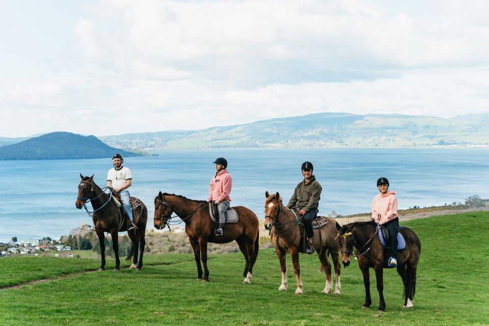 Rotorua: Guided Horseback Riding Day Trip on Mt. Ngongotaha - Description