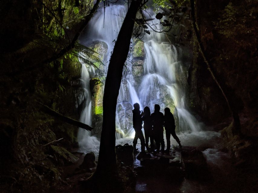 Rotorua: Nocturnal Glow Worm Tour With a Guide - Tour Description