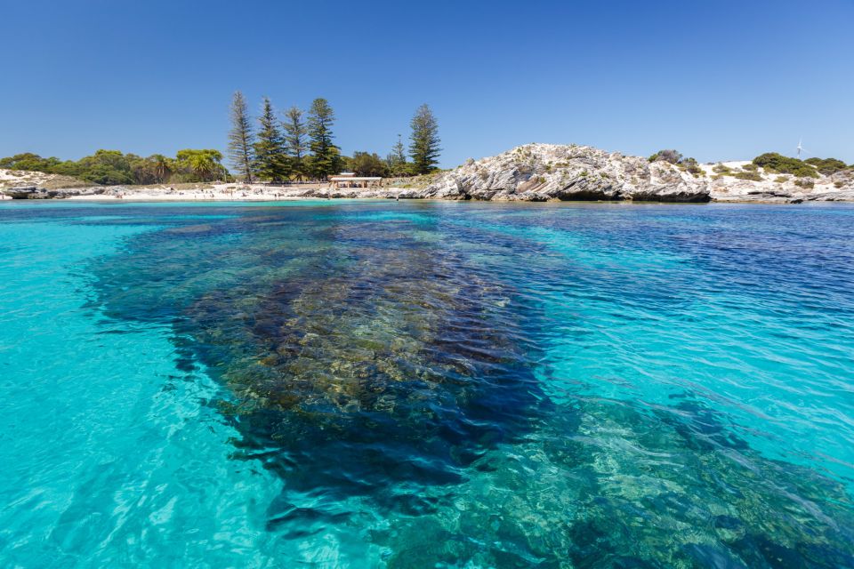 Rottnest Island Day Trip by Ferry & Adventure Boat Tour - Important Information and Restrictions