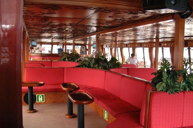 Royal Delfin - 2Hour Sustainable Dolphin & Whale Watching Mini Cruise - Guest Reviews and Ratings