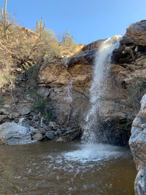 Saguaro National Park: Day Tour & Hike - Booking Information