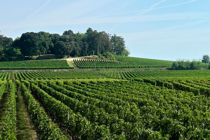 Saint-Emilion: Full-Day Tour With Tasting & Buffet Lunch - Accessibility and Conditions