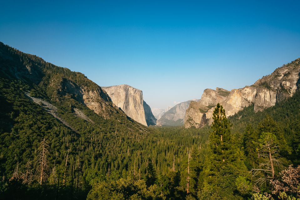 San Francisco: Day Trip to Yosemite With Giant Sequoias Hike - Tour Inclusions