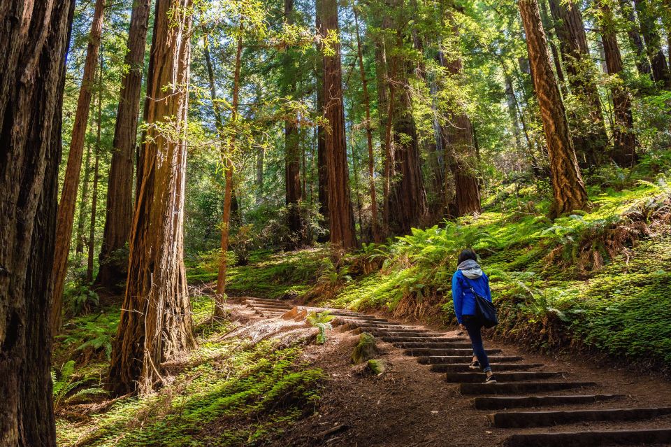 San Francisco Golden Gate Sausalito Muir Woods Private Tour - Tour Inclusions