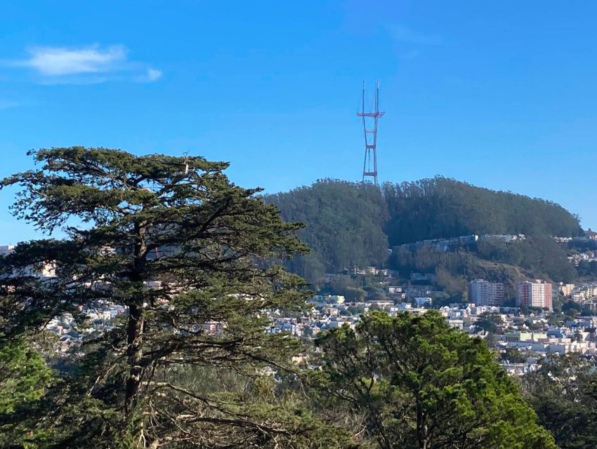 San Francisco: Secrets of Golden Gate Park Audio Tour - California Academy of Sciences: Resident Ocean Dwellers