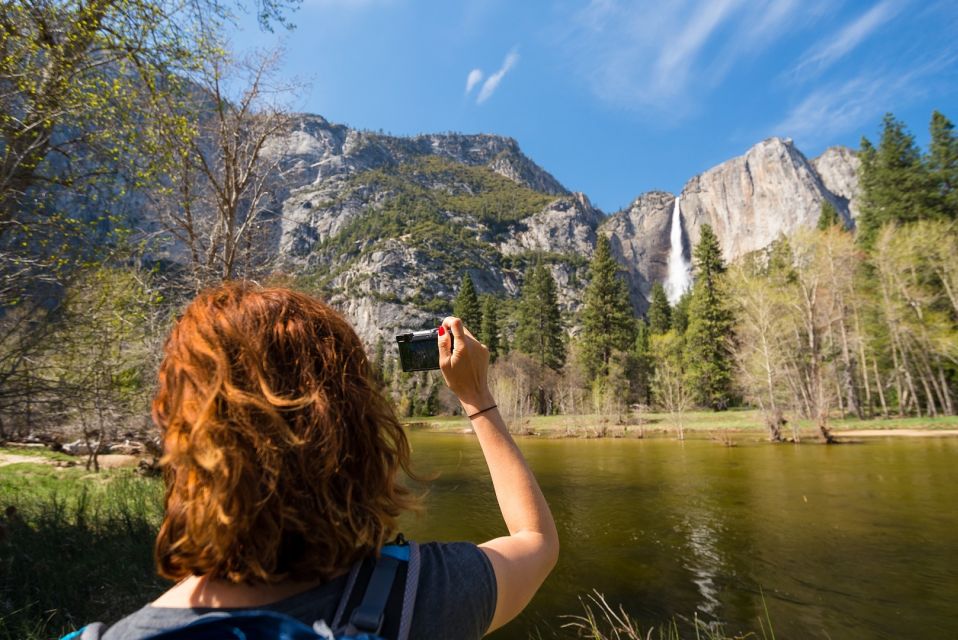 San Francisco To/From Yosemite National Park: 1-Way Transfer - Inclusions and Amenities