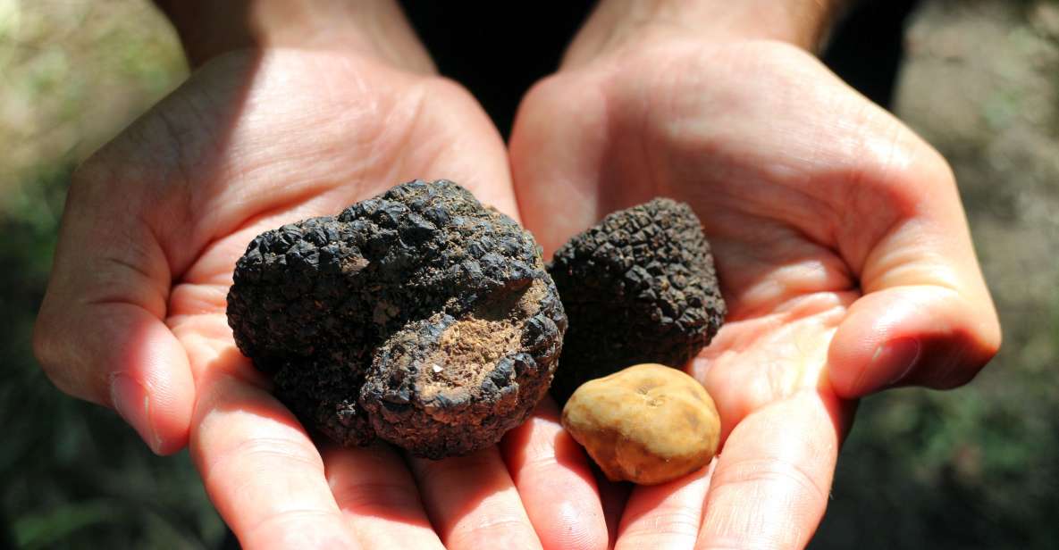 San Gimignano: Truffle Cooking Class With Wine Tasting - Meal and Wine Tasting