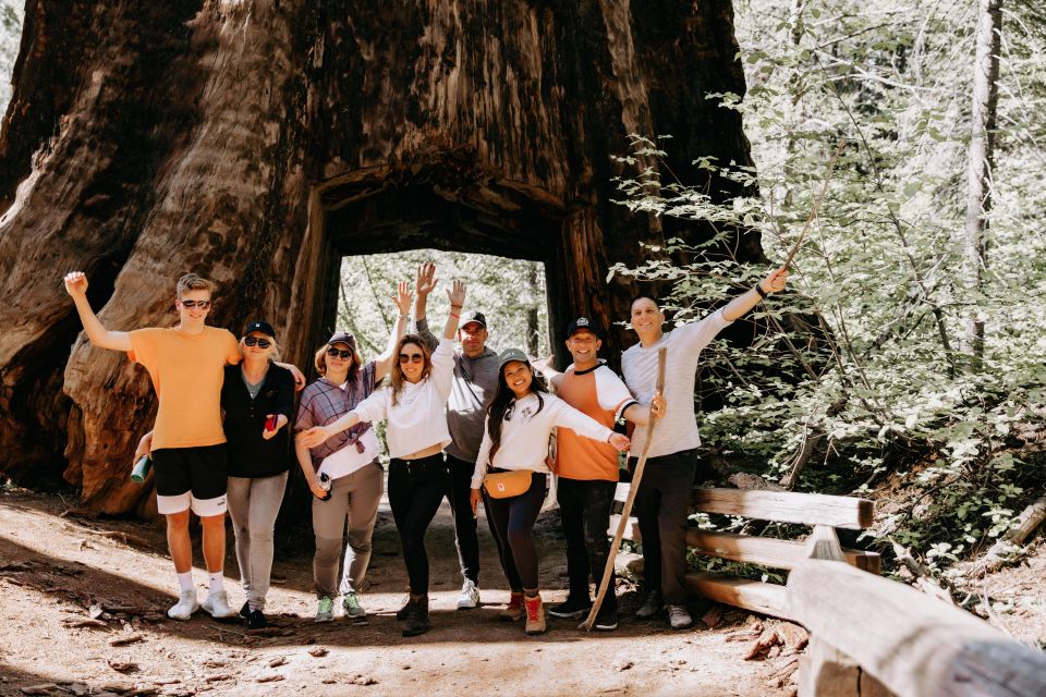 San Jose: Yosemite National Park and Giant Sequoias Trip - Inclusions and Exclusions