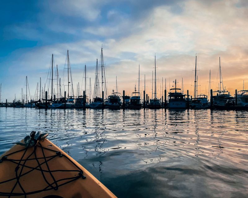 Santa Barbara: Sunset Kayak Tour - Paddling the Coastline