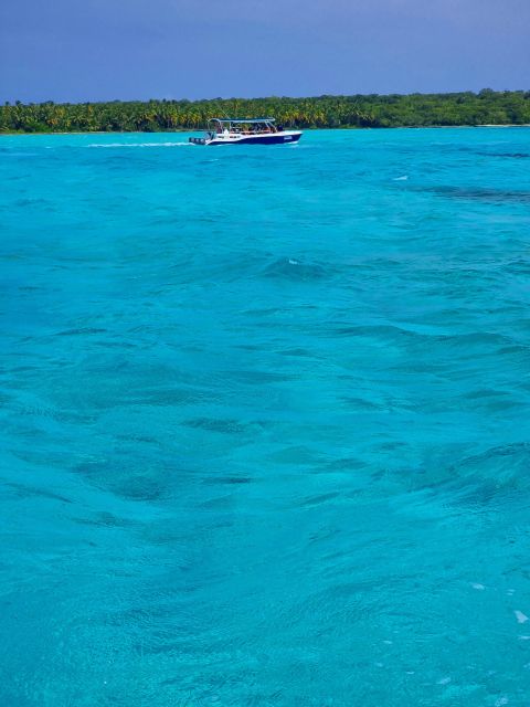 Saona Island: All-Inclusive Full-Day Tour - Bayahibe Stopover