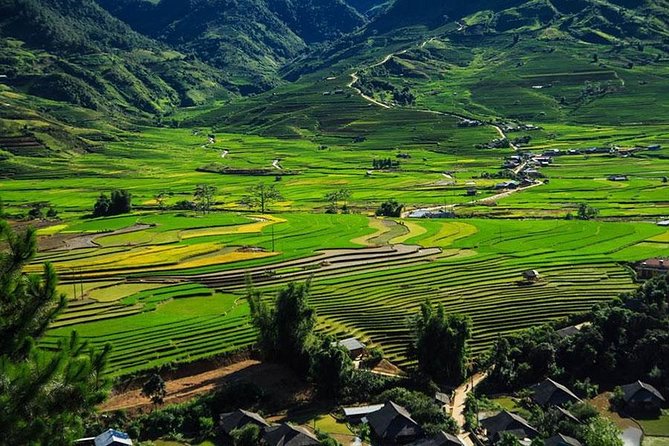 Sapa 3 Days 2 Nights Trekking Tour (1 Night In Ta Van Village, 1 Night In Hotel) - Meeting and Pickup