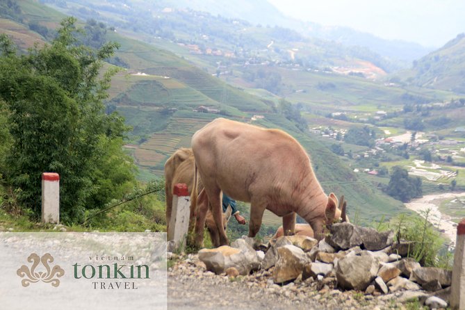Sapa Hard Trekking Villages Homestay 3days/ 2nights Tour - Amazing Culture - Daily Itinerary Highlights