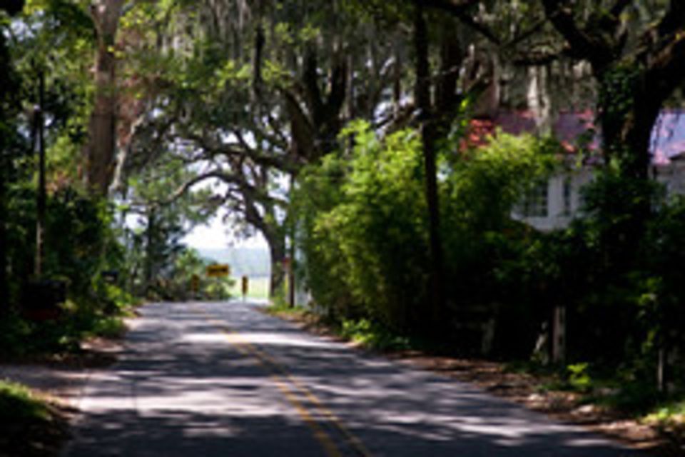 Savannah: Wormsloe Plantation and Bonaventure Cemetery Tour - Wormsloe Plantation: A Journey Through Time