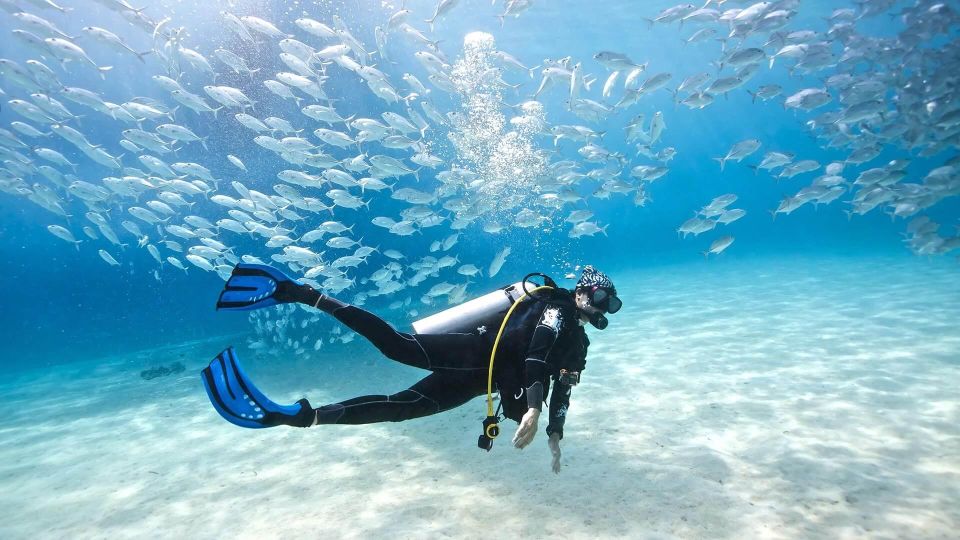 Scuba Diving Tour in Puerto Plata Hotel/Shore - Majestic Wall Dives: Swim-Throughs and Overhangs