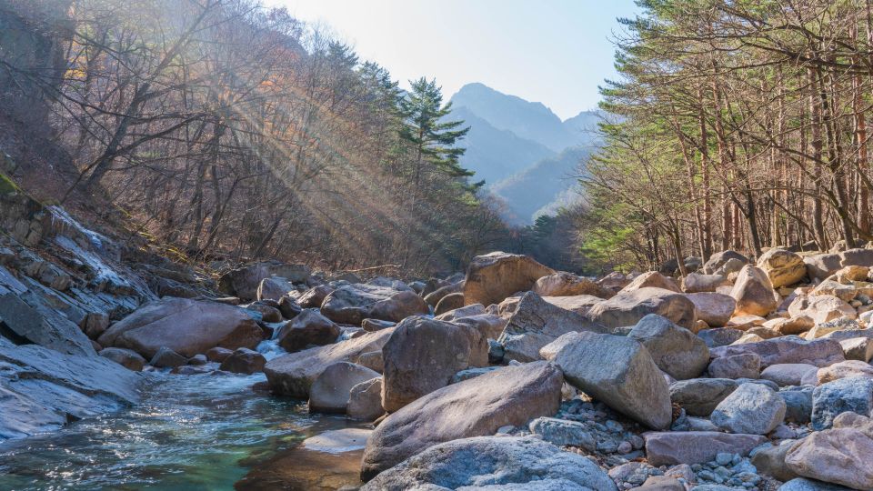 Seoul: Mt Seorak Hike With Naksansa Temple or Nami Island - Mt. Seorak Scenic Hike