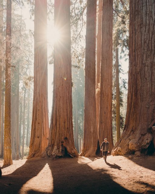 Sequoia: Private Tour & Hike - Activity Highlights