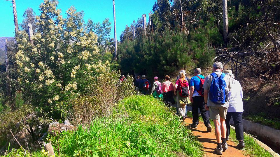 Serra De Água Valley Levada Walk - Inclusions