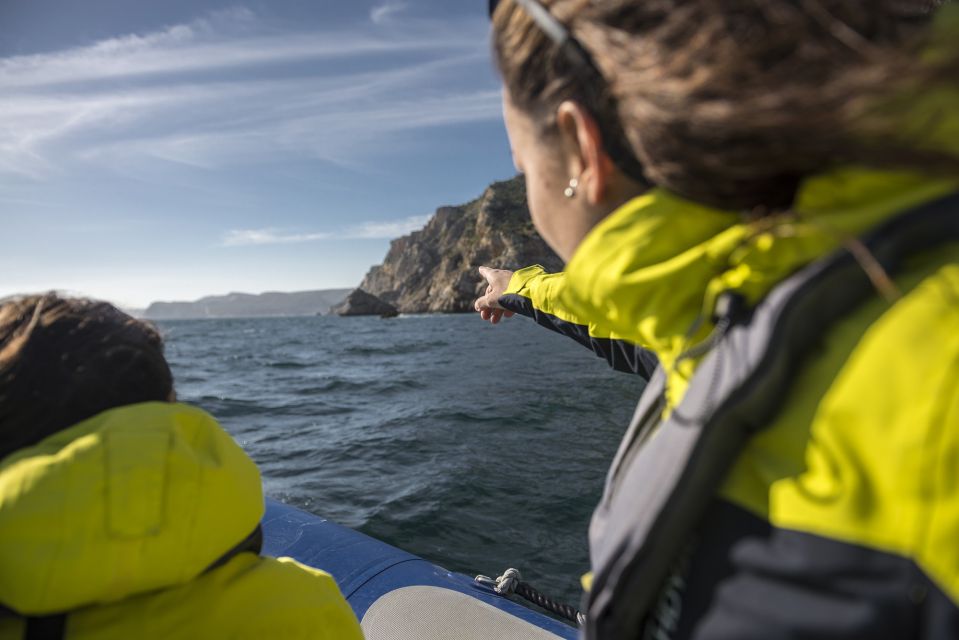 Sesimbra: Speedboat Tour of Arrabida Natural Park - Marine Wildlife and Sado Estuary