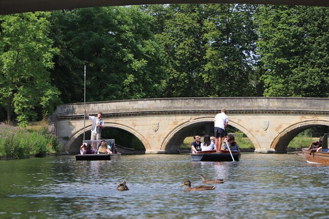 Shared Chauffeured Punt Tour - Private Seating With Perspex Screens