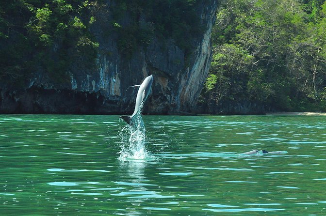 Sharing Basis Half-Day Mangrove Safari Boat Tour in Langkawi - Tour Duration and Group Size