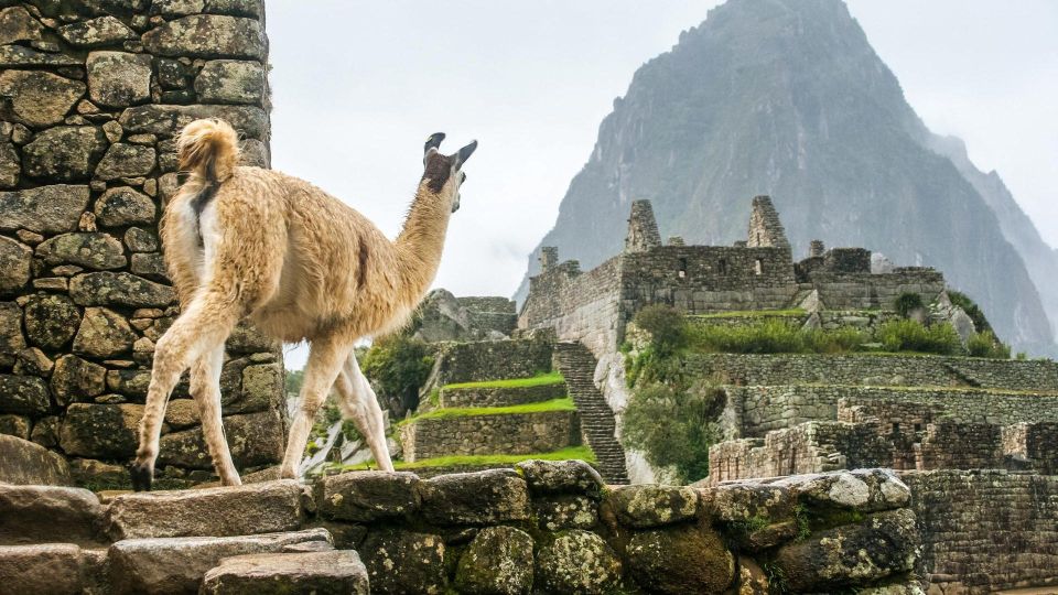 Short Inca Trail to Machu Picchu 2 Days - Scenic Train Ride