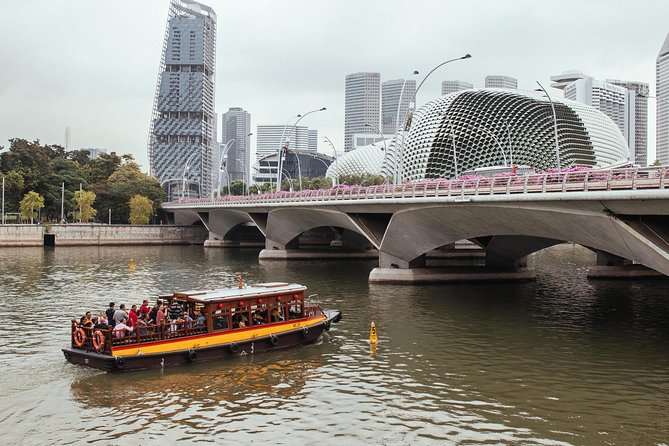 Singapore PRIVATE TOUR: Highlights & Hidden Gems by CAR or Foot - Personalized Experience