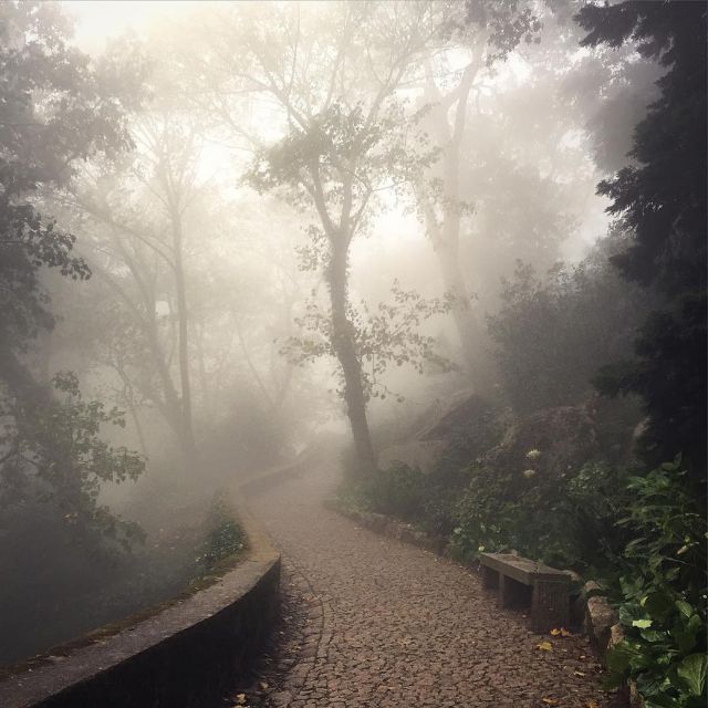 Sintra: Legends and Medieval Stories Private Walking Tour - Breathtaking Views of Sintra