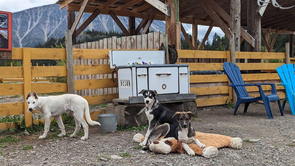 Skagway: Klondike Highway & Yukon Bus Tour With Husky Kennel - Exploring Fraser, British Columbia