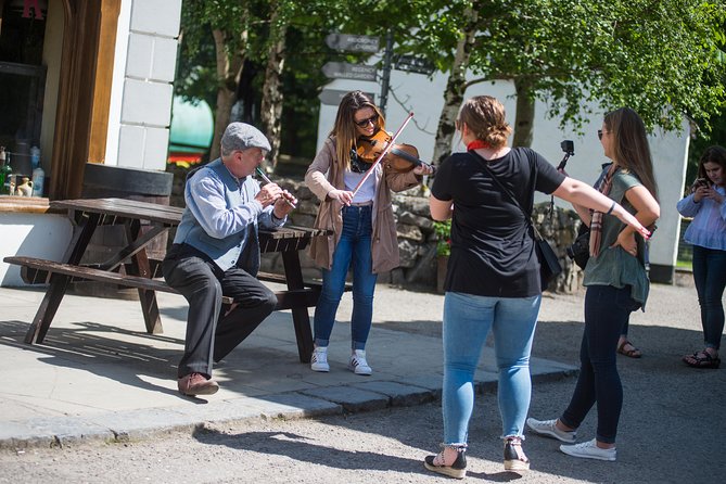Skip the Line: Bunratty Castle and Folk Park Admission Ticket - Accessibility Information
