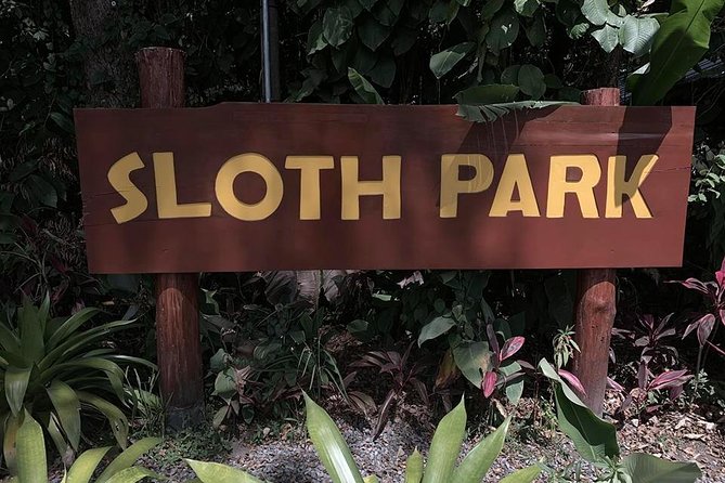 Sloth Watching Tour - Tips for Optimal Sloth Viewing