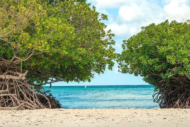 Small-Group Aruba Scuba Diving for Non-Certified Divers - Pickup and Transportation