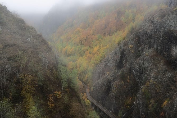 Small-Group Day Trip Transfagarasan Road and Poienari Fortress From Brasov - Tour Restrictions