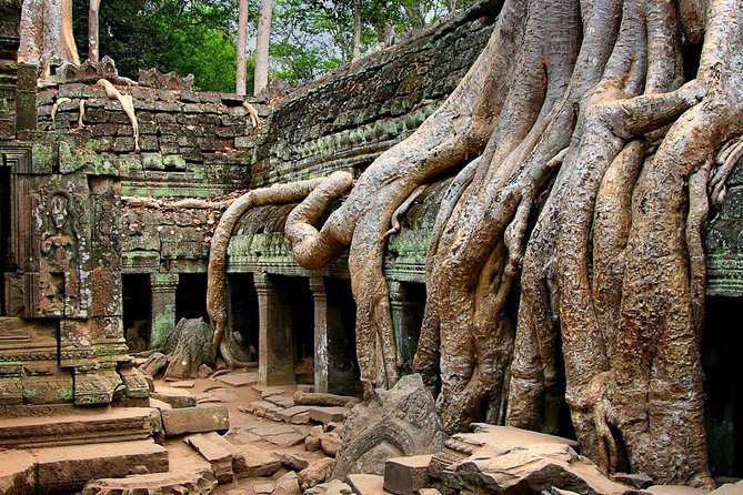 Small-Group Explore Angkor Wat Sunrise Tour With Guide From Siem Reap - Transportation and Pickup Details