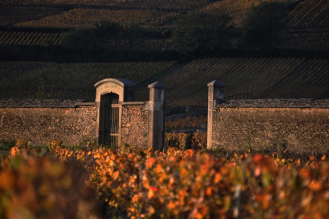 Small-Group Full-Day Tour of Côte De Nuits, Côte De Beaune Vineyards and Beaune Historical District - Visiting Traditional Wine Cellars