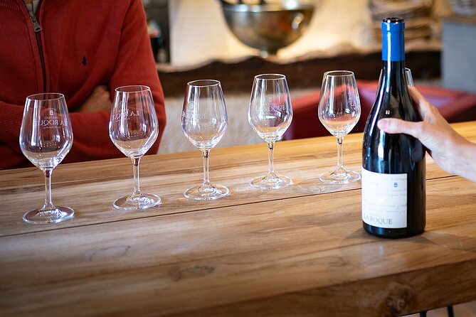 Small-Group Half-Day Languedoc Pic Saint-Loup Wine Tour From Montpellier - Winemaking Process Discovery