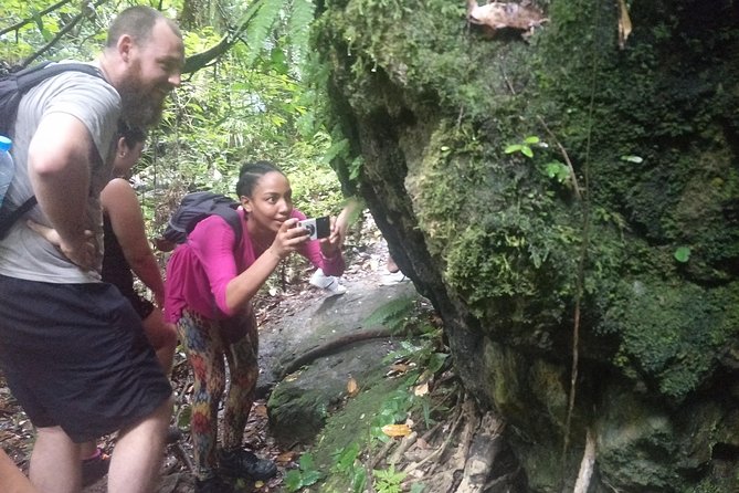 Small-Group Jungle Hiking Excursion in Khao Phra Teaw Park - Difficulty and Fitness Level