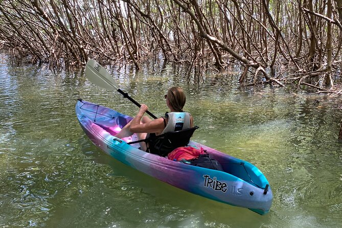 Small Group Kayak Tour of the Shell Key Preserve - Customer Reviews