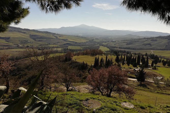 Small-Group Montepulciano and Pienza Day Trip From Siena - Pecorino Cheese Tasting at Local Farm