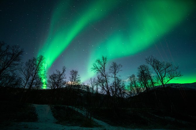Small Group Northern Lights Chase From Tromso - Infant Seat Availability