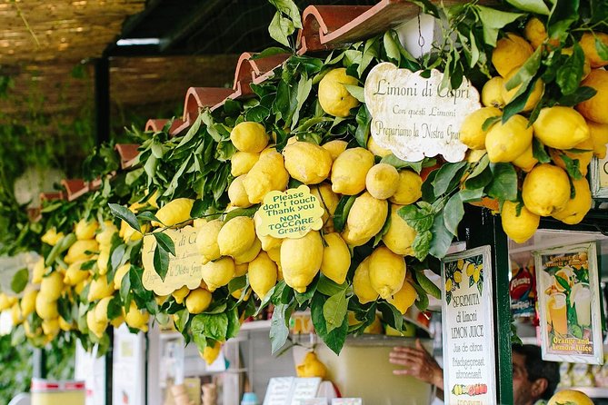 Small Group Sorrento Coast & Capri Boat Day Tour From Positano - Refreshments and Tastings