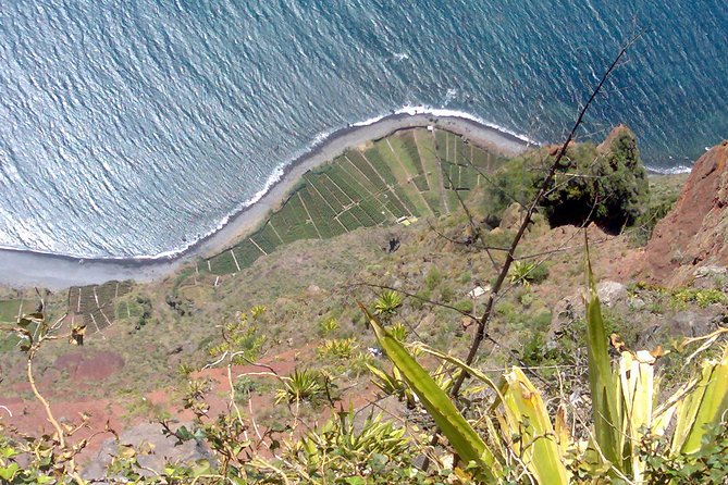 Small Group West Tour Waterfalls & Fanal Forest Tour - Exclusions