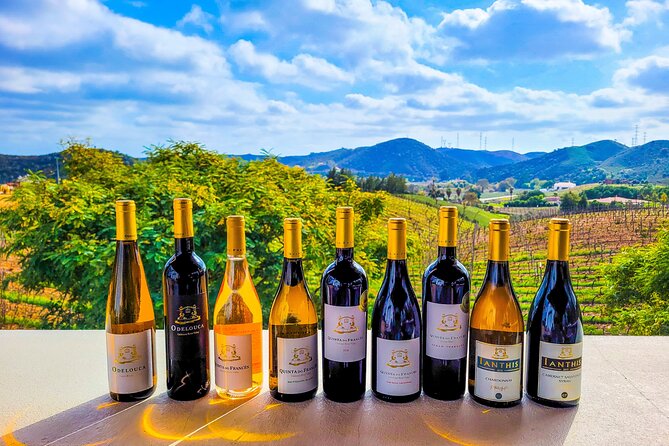 Small Group Wine Tasting Tour From Lagos - Tour Details and Inclusions