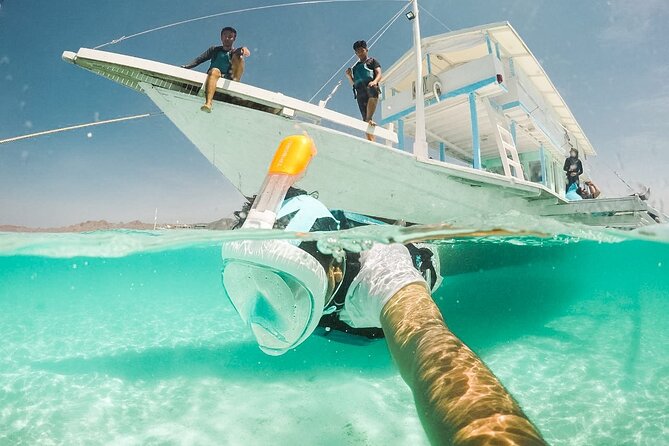 Snorkeling With Turtle and Statue in Gilis - Additional Info