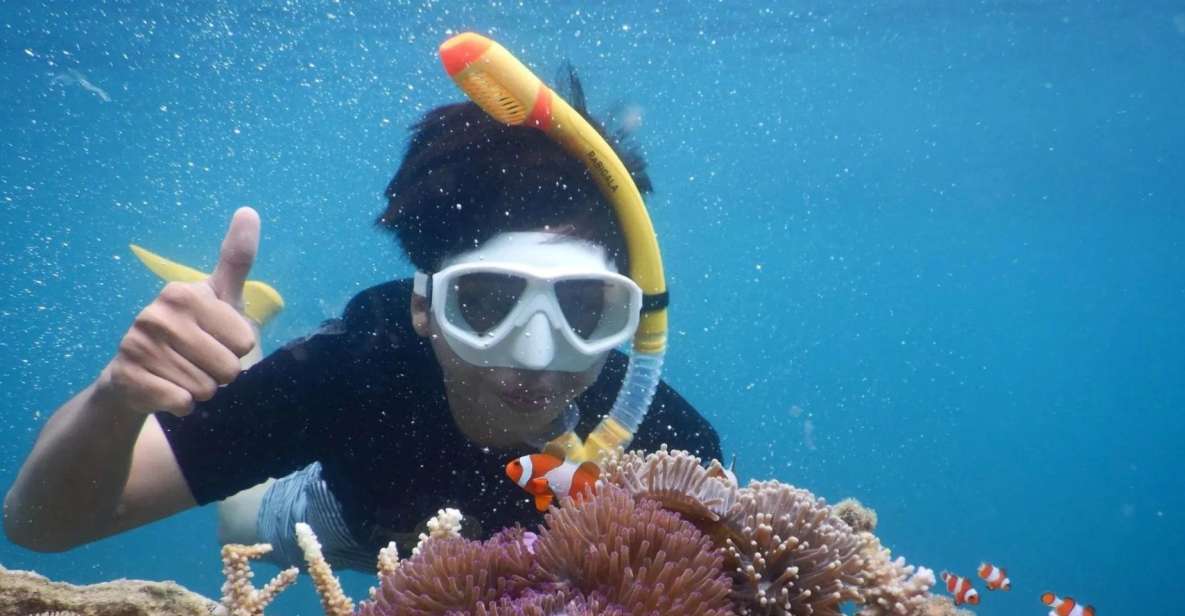 Snorkelling & Islandhopping Tour Karimunjawa (Private Tour) - Snorkeling and Island Visits